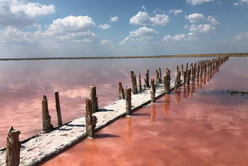 Апартаменты Олешковские пески и розовое озеро в отеле «Дельфин», Партенит